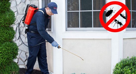 Merkezefendi Fare İlaçlama böcek ilaçlama ve haşere kontrolü — ilaclama-tr.com